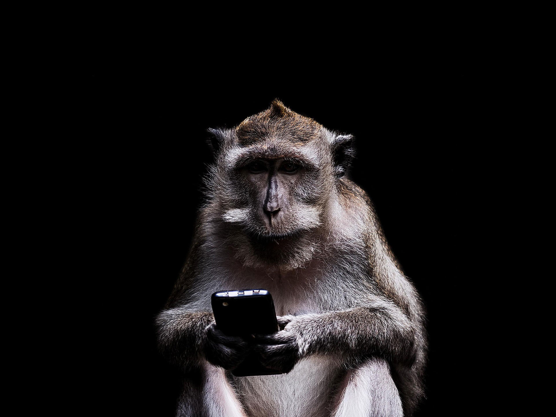 Jetzt ist unsere Zeit